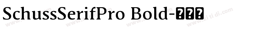 SchussSerifPro Bold字体转换